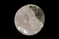 粉砂岩藏品圖，第4張